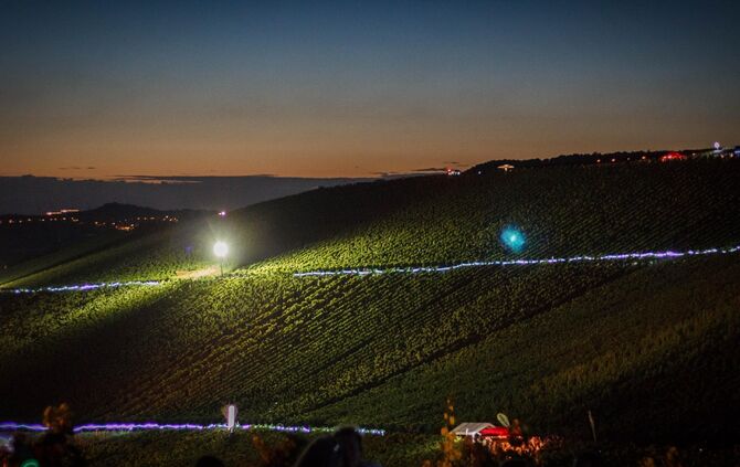 Leuchtender Weinberg zwischen Beutelsbach und Schnait_2