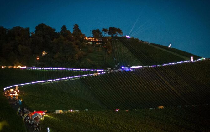 Leuchtender Weinberg zwischen Beutelsbach und Schnait_3