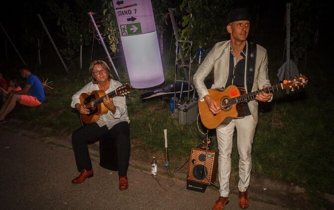 Leuchtender Weinberg zwischen Beutelsbach und Schnait_6