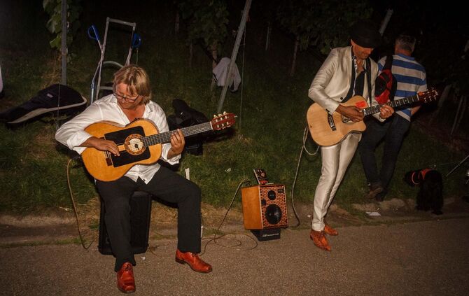 Leuchtender Weinberg zwischen Beutelsbach und Schnait_7