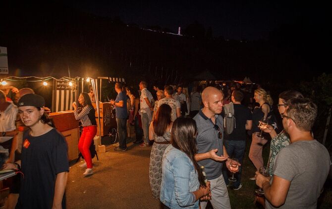 Leuchtender Weinberg zwischen Beutelsbach und Schnait_9