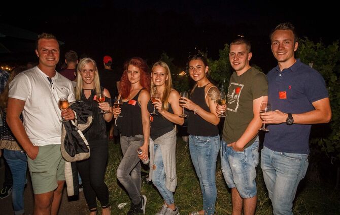 Leuchtender Weinberg zwischen Beutelsbach und Schnait_11