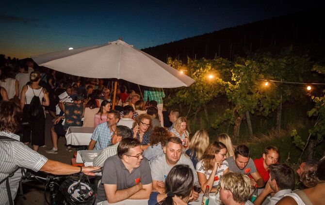 Leuchtender Weinberg zwischen Beutelsbach und Schnait_12