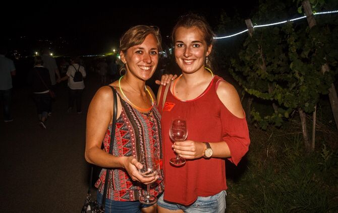 Leuchtender Weinberg zwischen Beutelsbach und Schnait_27