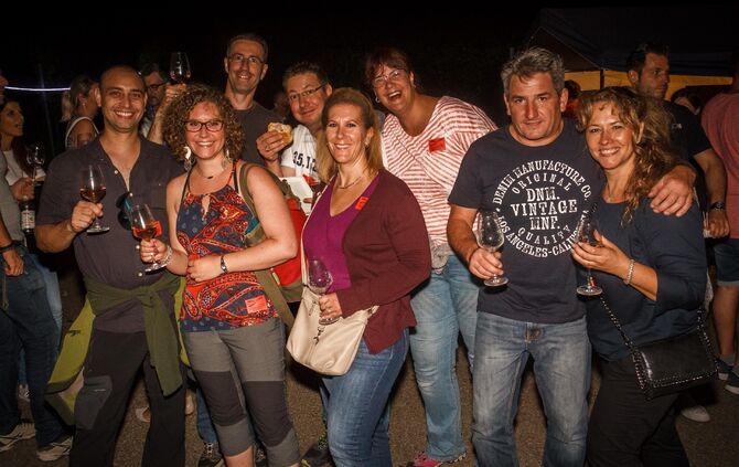 Leuchtender Weinberg zwischen Beutelsbach und Schnait_28