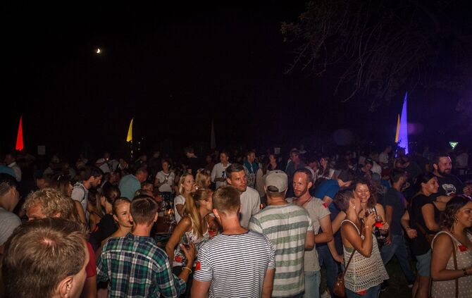 Leuchtender Weinberg zwischen Beutelsbach und Schnait_30