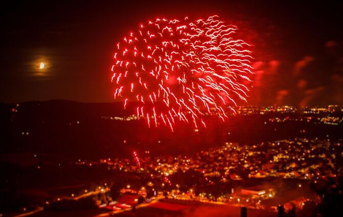 Leuchtender Weinberg zwischen Beutelsbach und Schnait_43