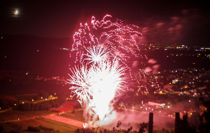Leuchtender Weinberg zwischen Beutelsbach und Schnait_45