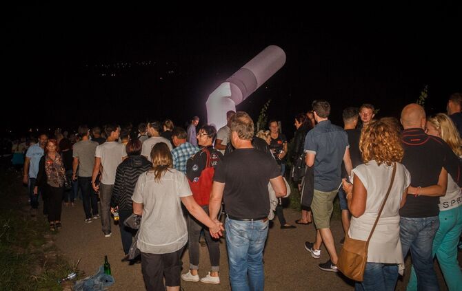 Leuchtender Weinberg zwischen Beutelsbach und Schnait_48