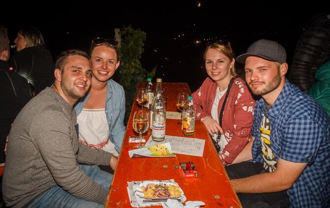 Leuchtender Weinberg zwischen Beutelsbach und Schnait_49