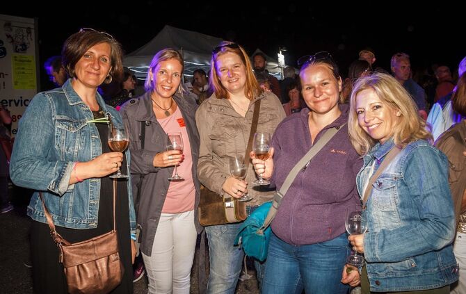 Leuchtender Weinberg zwischen Beutelsbach und Schnait_51