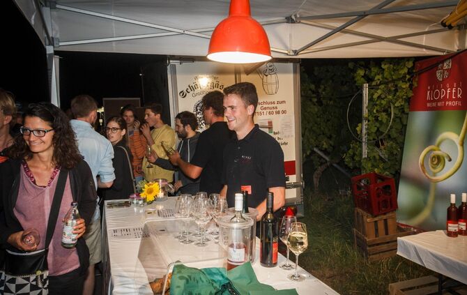 Leuchtender Weinberg zwischen Beutelsbach und Schnait_52