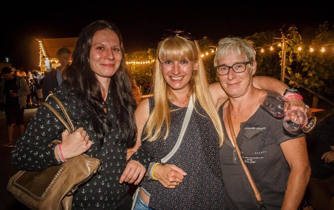 Leuchtender Weinberg zwischen Beutelsbach und Schnait_53