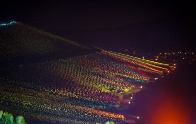 Leuchtender Weinberg zwischen Beutelsbach und Schnait_57