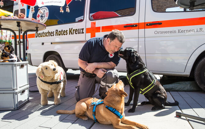 Messe für Gesundheit und Vitalität - Bild 23_23