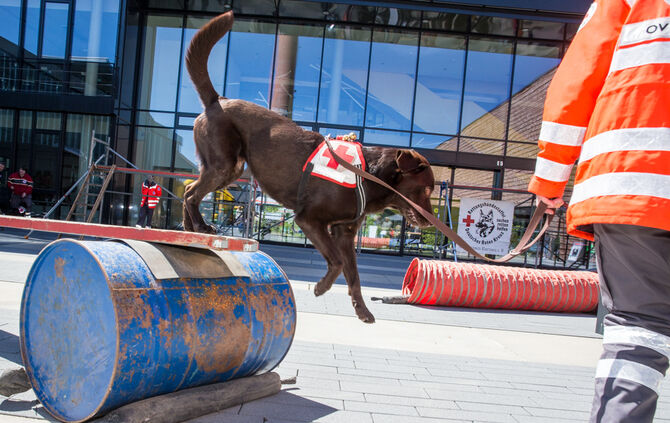 Messe für Gesundheit und Vitalität - Bild 25_25