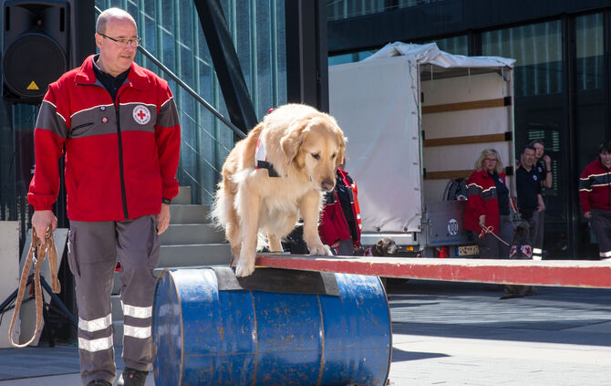 Messe für Gesundheit und Vitalität - Bild 26_26