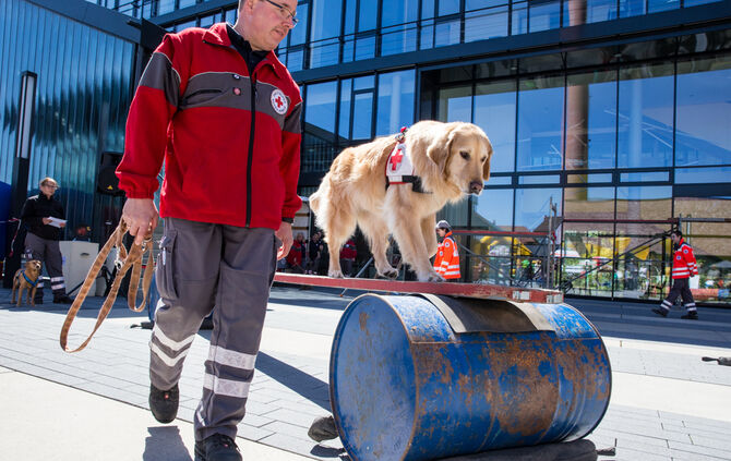 Messe für Gesundheit und Vitalität - Bild 27_27
