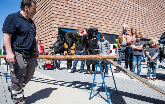 Messe für Gesundheit und Vitalität - Bild 29_29