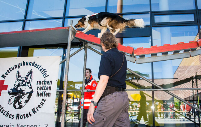 Messe für Gesundheit und Vitalität - Bild 30_30