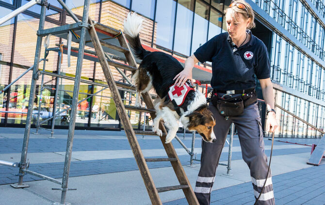 Messe für Gesundheit und Vitalität - Bild 32_32