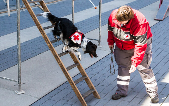 Messe für Gesundheit und Vitalität - Bild 33_33