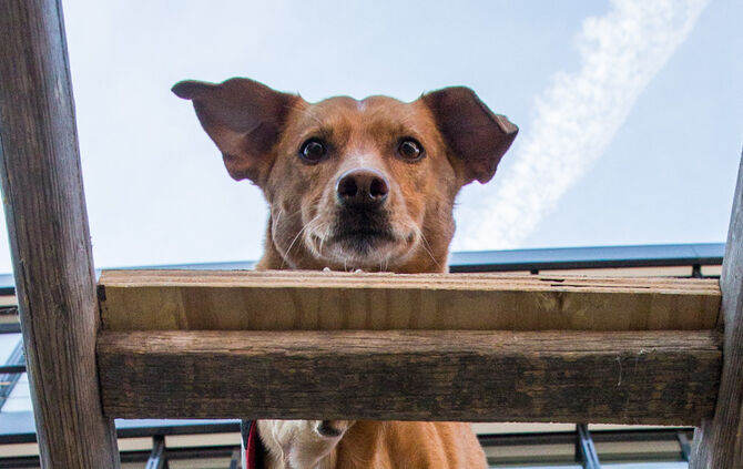 Messe für Gesundheit und Vitalität - Bild 35_35