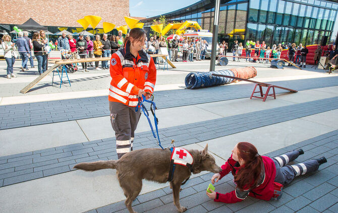 Messe für Gesundheit und Vitalität - Bild 37_37