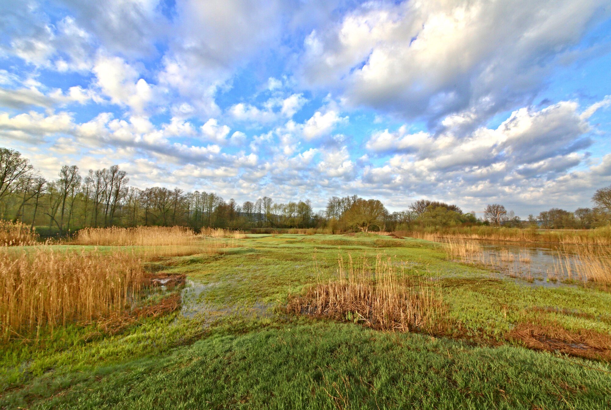 Warum es so wichtig ist, sich im Naturschutzgebiet an die Regeln zu