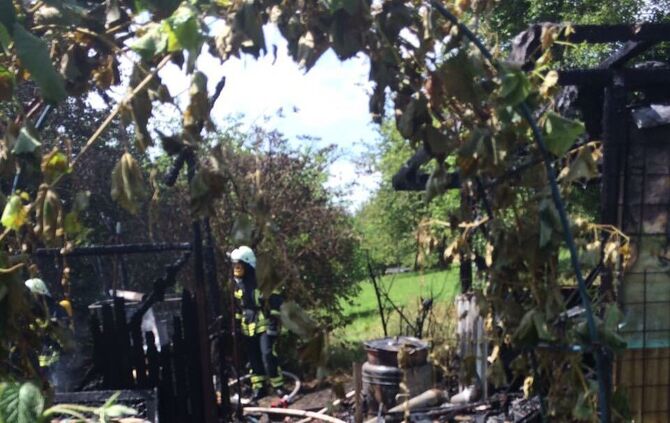 58d29c46-747d-48a2-8b1b-6553e1620a2a_25