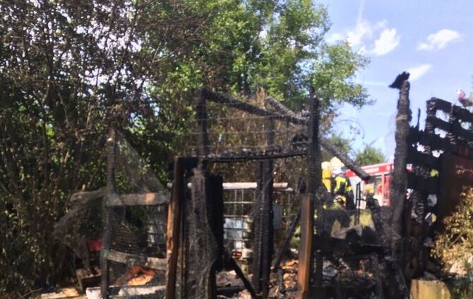 dd0028b5-ea56-4c08-8179-b432c481b6b0_26