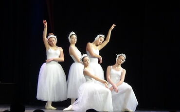 Karneval der Tiere_0