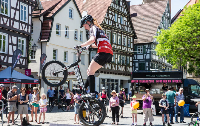 Radaktionstag - Bild 05_5