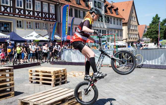 Radaktionstag - Bild 64_63