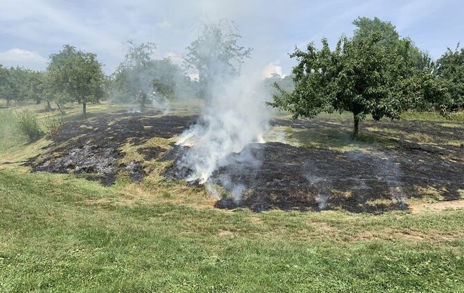 Korb Flächenbrand