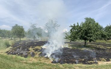 Korb Flächenbrand