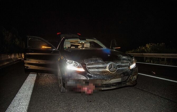 B29: Mercedes erfasst Wildschweinrotte_2