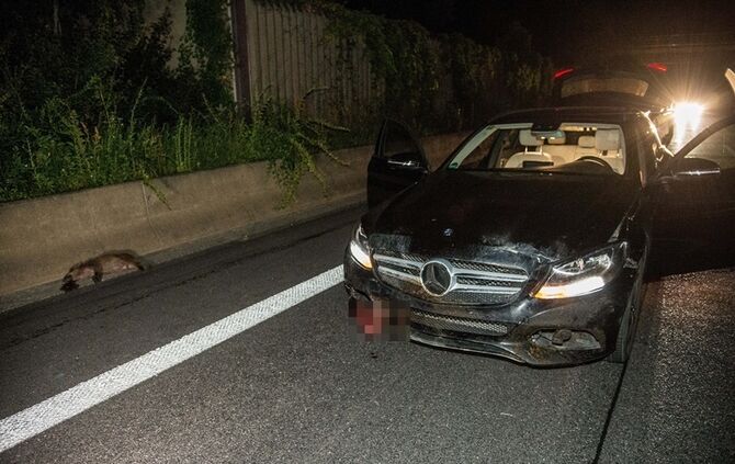 B29: Mercedes erfasst Wildschweinrotte_10