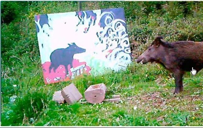 Filmstills_Schwarzwald_-_Irene_Müller_2017-11-03_14-58-18_1