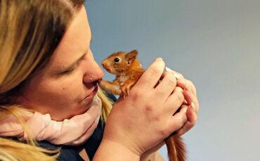 81a0107d-8dc9-417a-9704-6523ba7d42c0.jpg_0