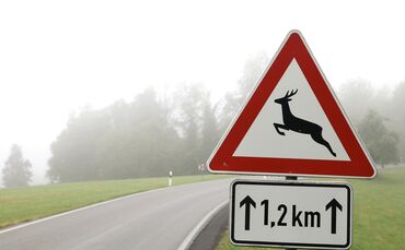 Vehrkehrsschild wild wildwechsel  symbol symbolbild symbolfoto