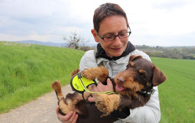 Hund steckt in Bachrohr fest Feuerwehr im Einsatz