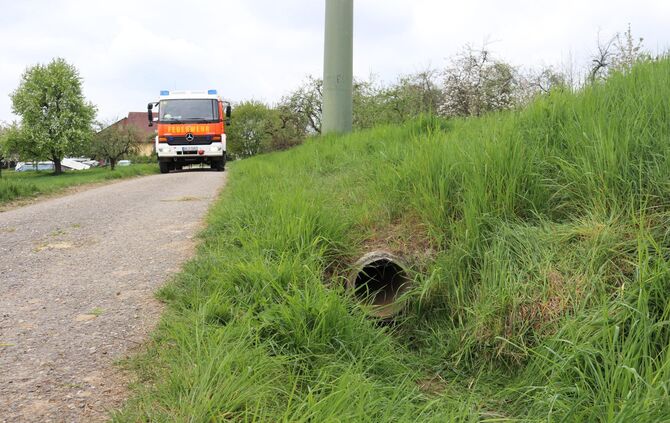 Hund steckt in Bachrohr fest Feuerwehr im Einsatz