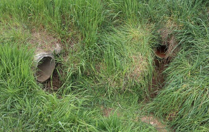 Hund steckt in Bachrohr fest Feuerwehr im Einsatz