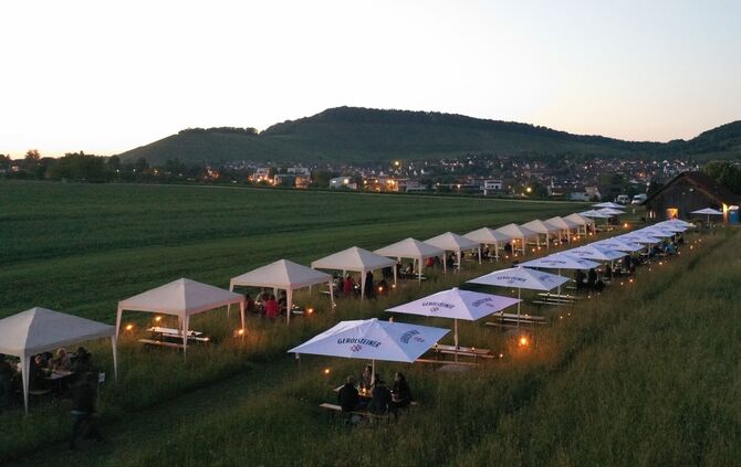 Bergfest Schwegler Korb