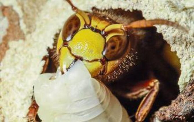 e42d7961-95f1-4886-8158-322aa665d90d.jpg_1