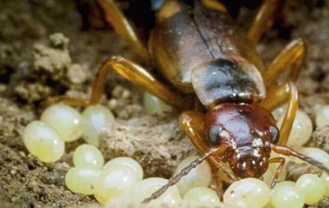 35d740fc-fce7-4dd4-8195-b428a76d4e27.jpg_2