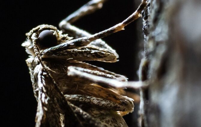 Brian Mc Clatchy aus Remshalden_3