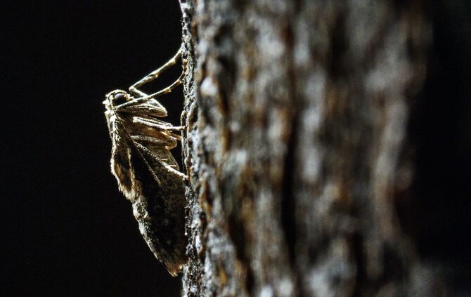 Brian Mc Clatchy aus Remshalden_4