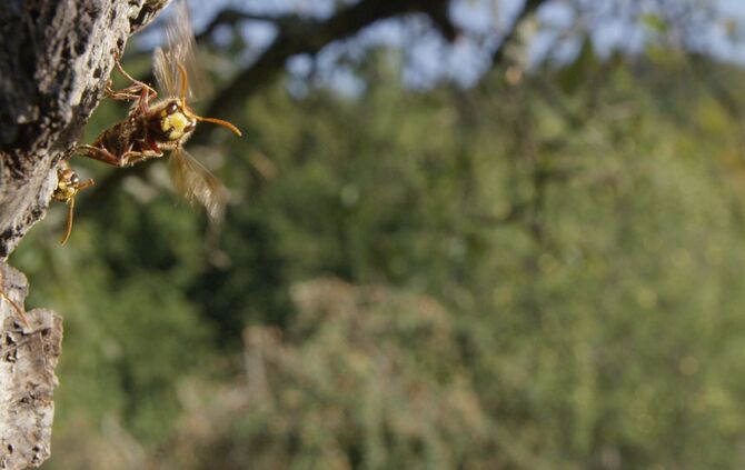 Brian Mc Clatchy aus Remshalden_6